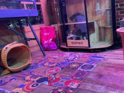 -青木造型HAIR·あおき髪を刈る潮人店