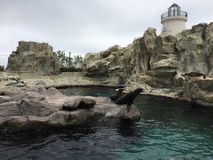 -香港海洋公园