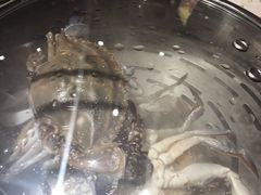 -苏大嘴海鲜牧场(奥林匹克店)