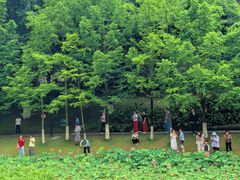 -沐仙湖湿地公园