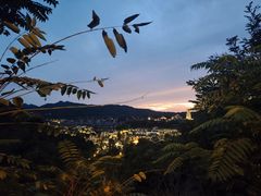 -杨国福麻辣烫(角门店)