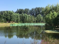 -东郊湿地公园