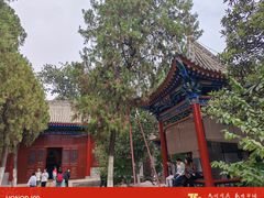 -渭滨公园