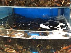 水产区-7fresh七鲜(大族广场店)