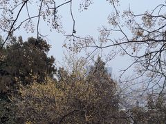 -云龙山