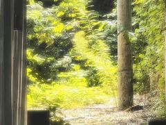 -上海市虹口区图书馆(曲阳分馆)