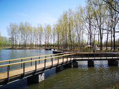 -东郊湿地公园