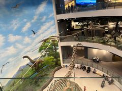 -辽宁古生物博物馆