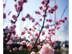 -四门塔风景区