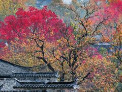 -塔川景区
