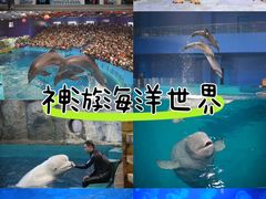 -威海华夏城景区