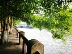 -运河游船(武林门码头)