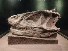 -自贡恐龙博物馆