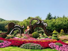 -上海共青森林公园