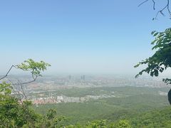 -紫金山山顶公园
