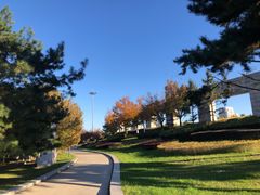 -长春世界雕塑园冰雪艺术天地