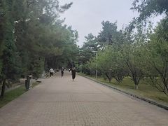 -阿尔丁植物园