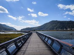 -腾冲北海湿地