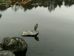 -水前寺成趣园