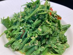 炝拌龙须菜-東舍食唐精品陕菜馆