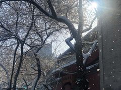 -雍和宫(地铁站)