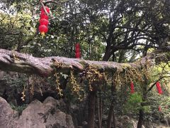 -杭州西湖风景名胜区-三生石