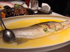 鸡汤清蒸白鱼-森隆饭庄(新世界百货崇文店)