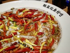 -太二酸菜鱼(汕头苏宁广场店)