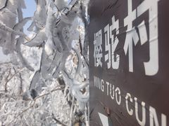 -紫金山山顶公园