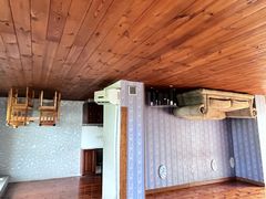 -金山农民画村-枫泾波兰倒置屋