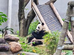 -柳州市动物园