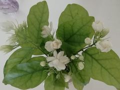 -亦庄创意生活广场