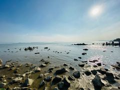 -深圳湾公园(南山区)