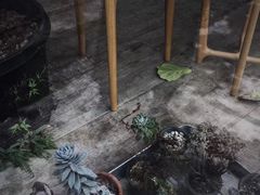 -梵几(东信·和创园店)