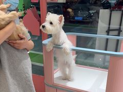 -FAELING PETS美天灵宠物(合生汇店)