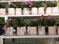 -KKV(重庆东原悦荟主力店)