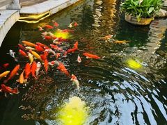 -阳春市花园酒店
