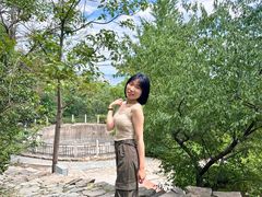 -北京鹫峰国家森林公园