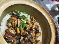 -红星光发煲仔饭(大石街店)