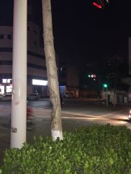 -YH烫染沙龙