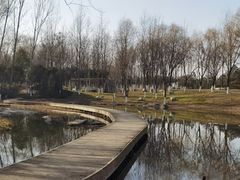 -西安浐灞国家湿地公园