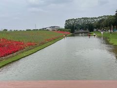 -迪茵湖田家舍生态农场