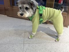 -FAELING PETS美天灵宠物(富力广场店)