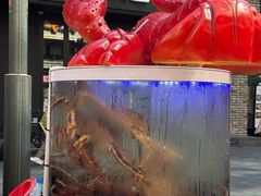 -BHC炸鸡(明洞总店)