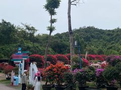 -蜈支洲岛珊瑚酒店临海阁中餐厅