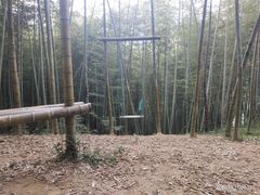 -宁波浙东大竹海景区