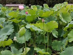 -四川大学(华西校区)