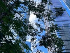 -Again Coffee Roaster(香蜜湖店)