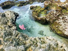 -白沙湾海滩
