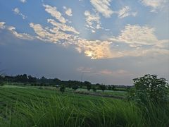 -中国天府农业博览园